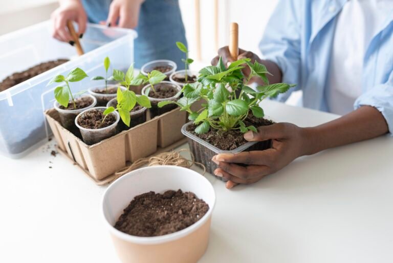 Seed Funding for Sustainable Futures: Transforming Communities Through Agribusiness Partnerships
