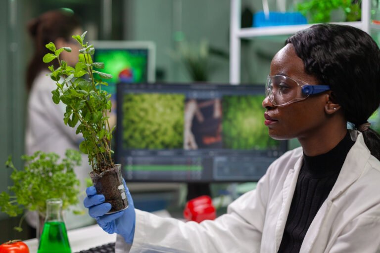 Lundazi IAIT Project: A Climate-Smart Agro-Industrial Investment Platform